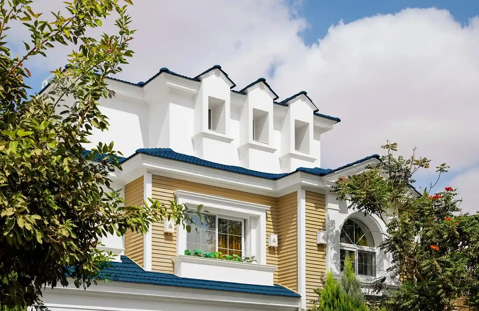 Mountain View 2 Cover