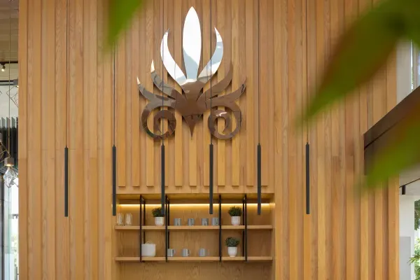 Visit The Lighthouse Website